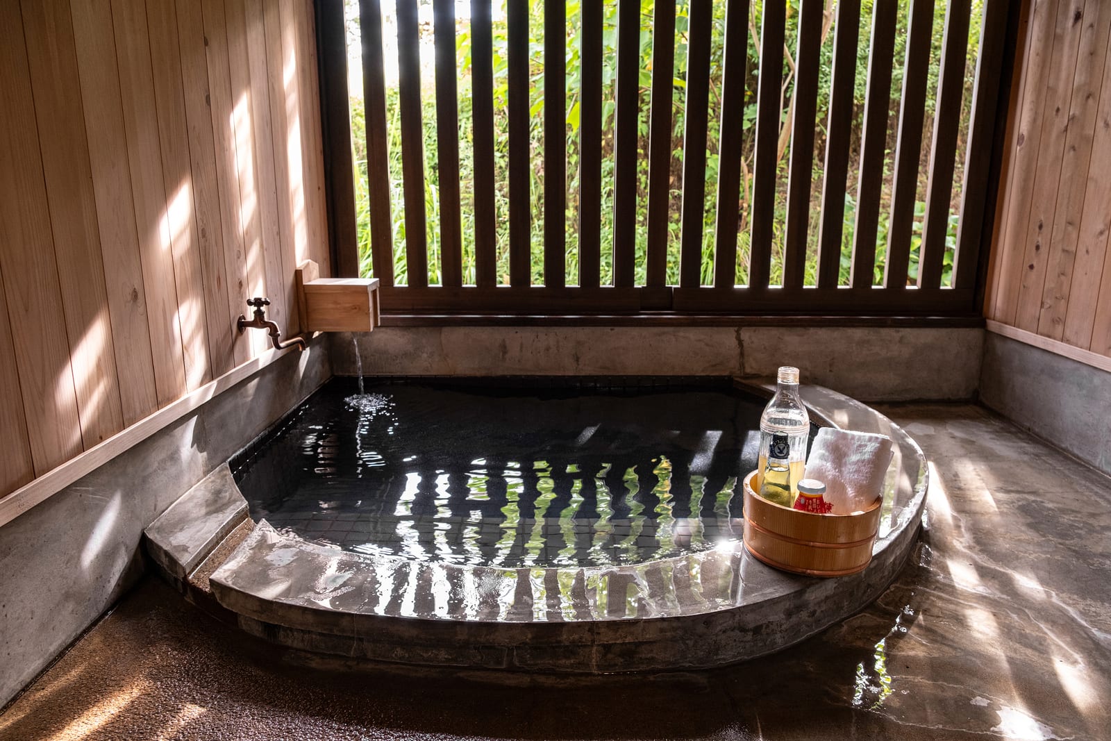 고민카 네리 사토야마 레몬탕